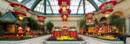 Bellagio Conservatory Chinese New Year Display