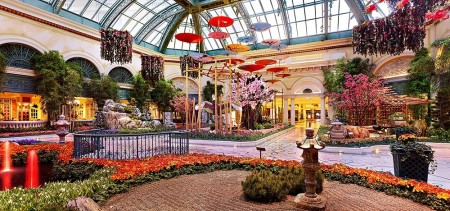 Bellagio Conservatory Spring 2015