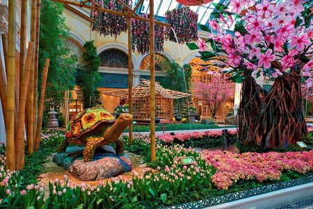 Bellagio Conservatory