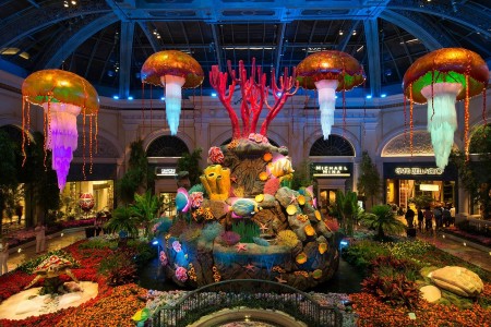 Bellagio Conservatory & Gardens Under The Sea