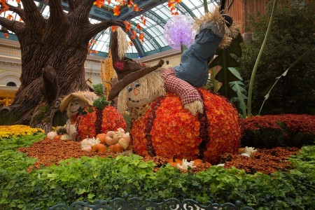 Bellagio-Conservatory-Fall-2015_k