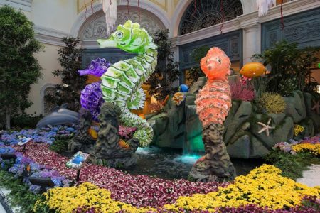 Seahorses at Bellagio Conservatory & Botanical Gardens