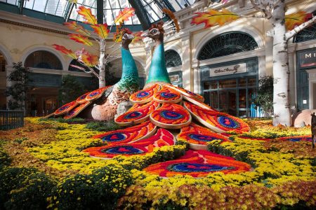 Bellagio’s Conservatory & Botanical Gardens Harvest Display