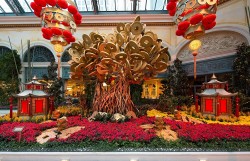 Bellagio Conservatory And Garden Chinese New Year