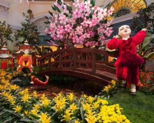 Celebrate The Lunar New Year At Bellagio’s Conservatory & Botanical Gardens