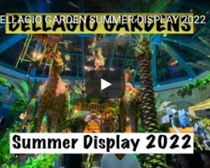2022 Summer Bellagio Display